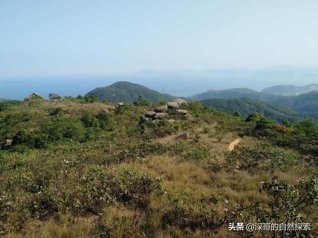 深圳不起眼的山峰，深圳这十座不知名山峰