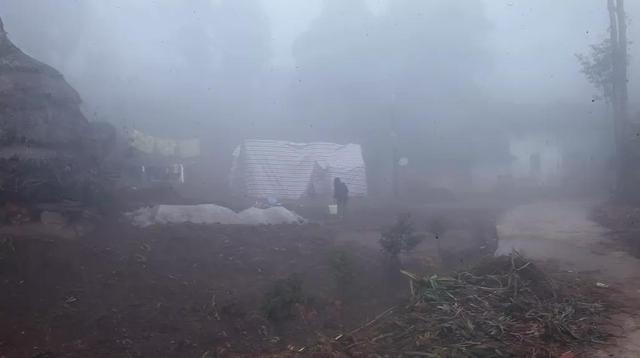 泰国变性真实事件，人妖李二毛为爱情变性