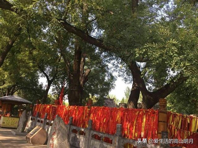 洪洞县大槐树景区，洪洞大槐树旅游攻略