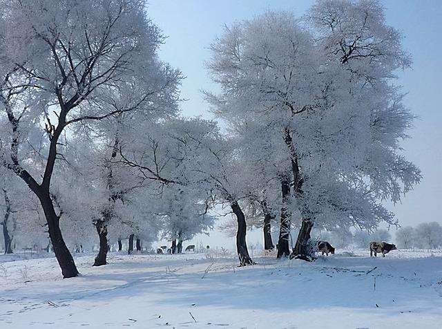 冬季旅游最佳去处，冬季旅游景点推荐（ChatGPT评中国十大旅游胜地排行榜）
