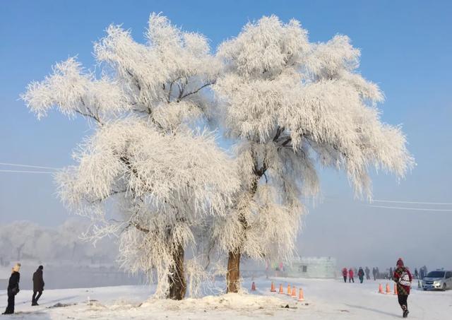 国家宝藏好玩的地方，2022年国内宝藏目的地推荐清单来了