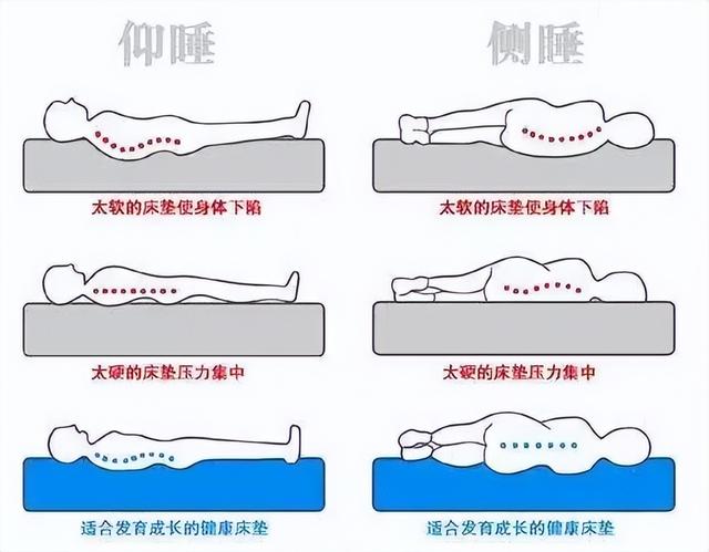 棕榈床垫和硅胶床垫哪个好，我终于明白了500元棕榈床垫和1000元乳胶床垫的区别