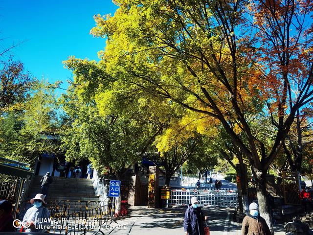 北宫国家森林公园景点介绍，北宫国家森林公园游记