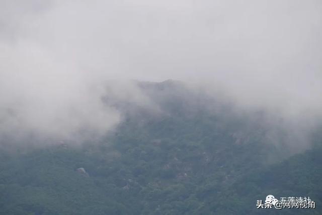 海棠微雨共归途明信片画师，当读者分不清自己定位时