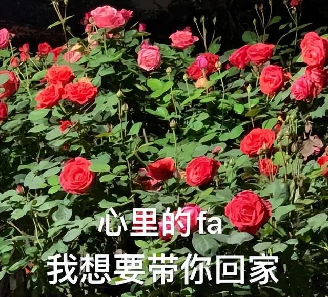天津海边哪里好玩，天津最佳看海的地方在哪里