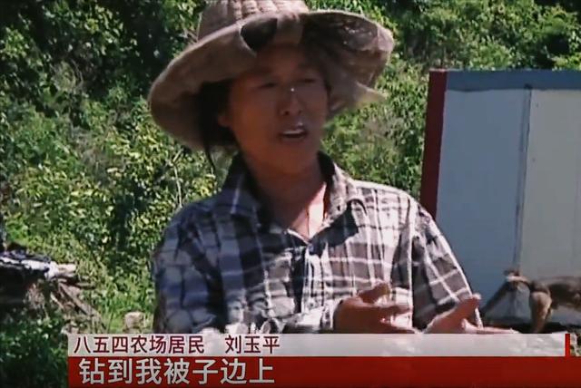 东北诡事真实案例，奇女子刘玉平和大蛇同吃同睡