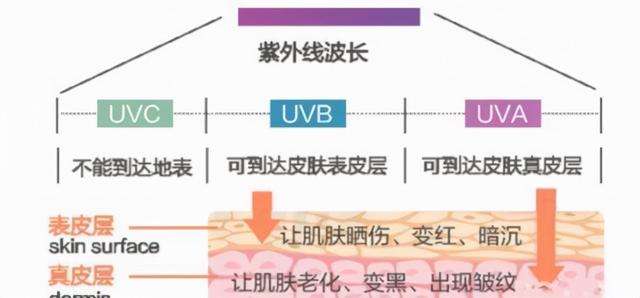 气质优雅的女人最有魅力，有这几个特征的女人