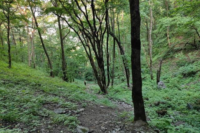 尖山风景区攻略，假期一家人出游蔚县飞狐峪里的尖山