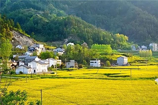 七旬父母杀孽子案，成不感恩的孽子究竟谁之错