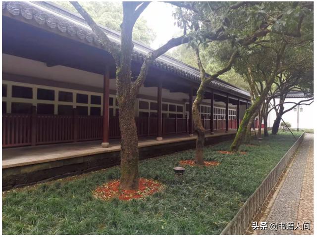 浙江杭州岳庙中的岳飞雕像介绍，西湖边上有座岳王庙