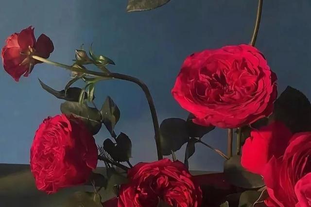 控制情绪的六个方法，10种简单方法提高你的心情