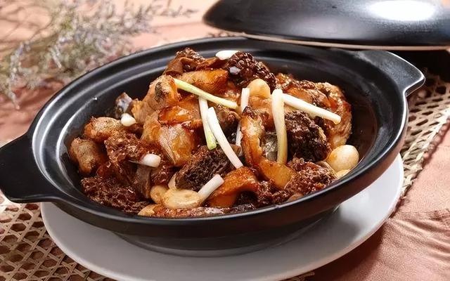 菌菇科普篇菌中之王，各种食用菌菇大全