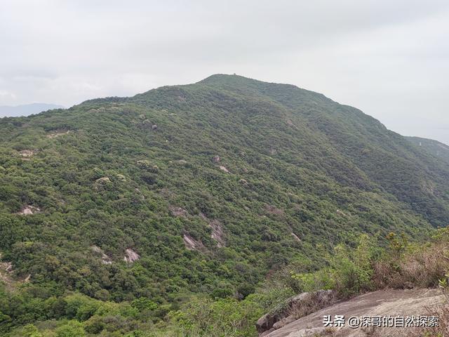 深圳不起眼的山峰，深圳这十座不知名山峰