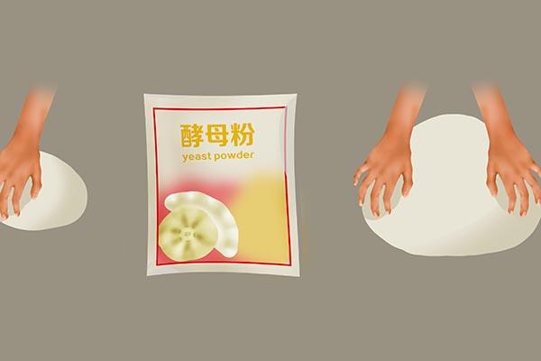 酵母 糖尿病(酵母糖尿病人能吃吗百度百科)