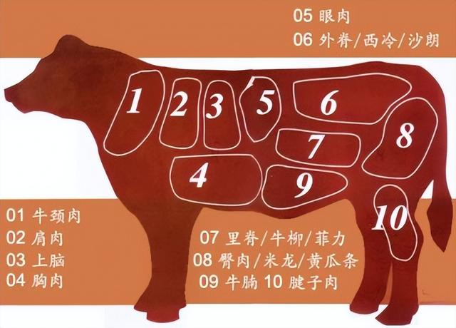 牛肉淋巴结图片，牛肉里脊肉怎么区分（死牛肉能不能吃）