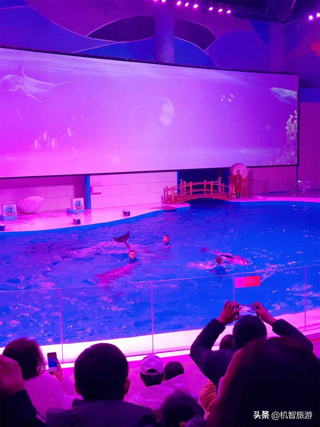 日照海洋公园门票，日照海洋公园怎么玩