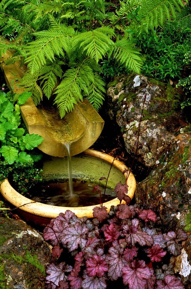 心洁意静不染尘，心若安宁万事从容