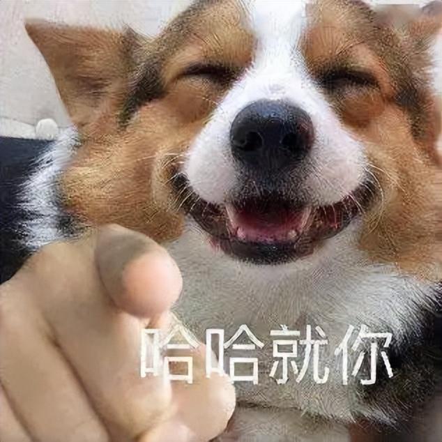 玖月奇迹做客综艺节目明星同乐会，玖月奇迹做客河北卫视《明星同乐会》