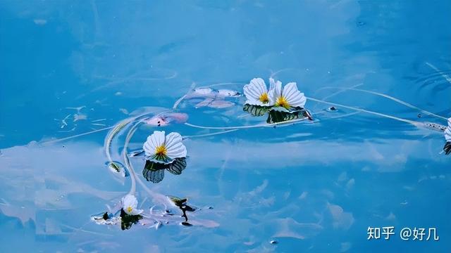 丽江古城旅游费用，丽江旅游自由行攻略及花费（想去丽江旅游的大哥们记下来,4-6月,1499玩到尽致）