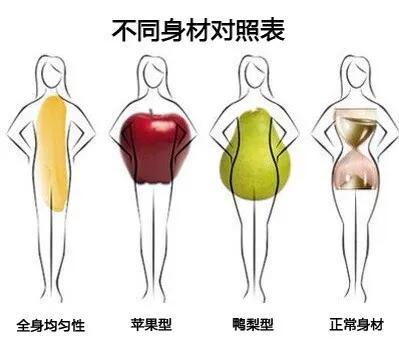 苹果型肥胖(苹果型肥胖脂肪主要囤积在)
