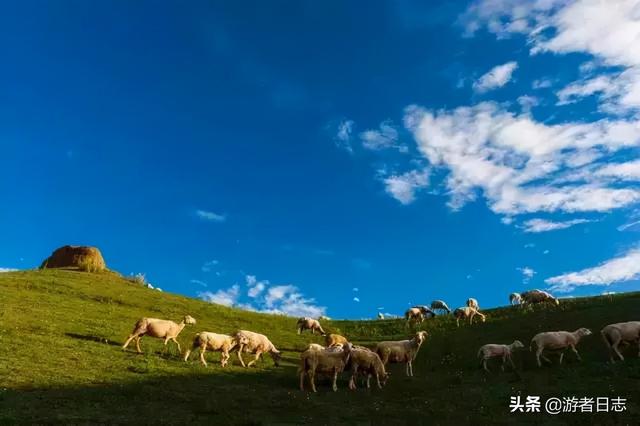 张掖旅游景点排名，张掖最近有哪些旅游胜地（张掖自驾游都有哪些好玩的地方）