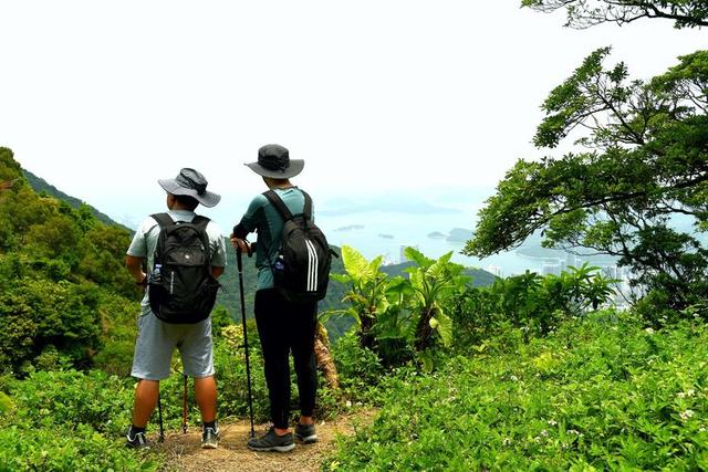 关于深圳梧桐山简介，深圳之巅——梧桐山