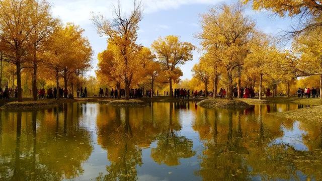 火车沿途风景最佳路线夏天，国内这些赏秋火车路线