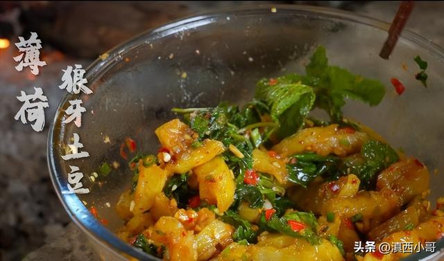 薄荷香料的做法大全，带你认识40款香料及各种底料炖料配方