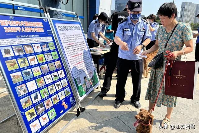 文明养犬依法养犬，文明养犬倡议书