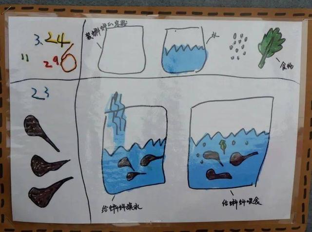 幼儿园自然角在线研讨，小小自然角春意盎然中