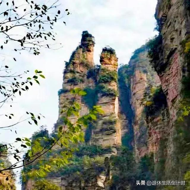 去张家界跟团游，张家界旅游纯玩团攻略和花费