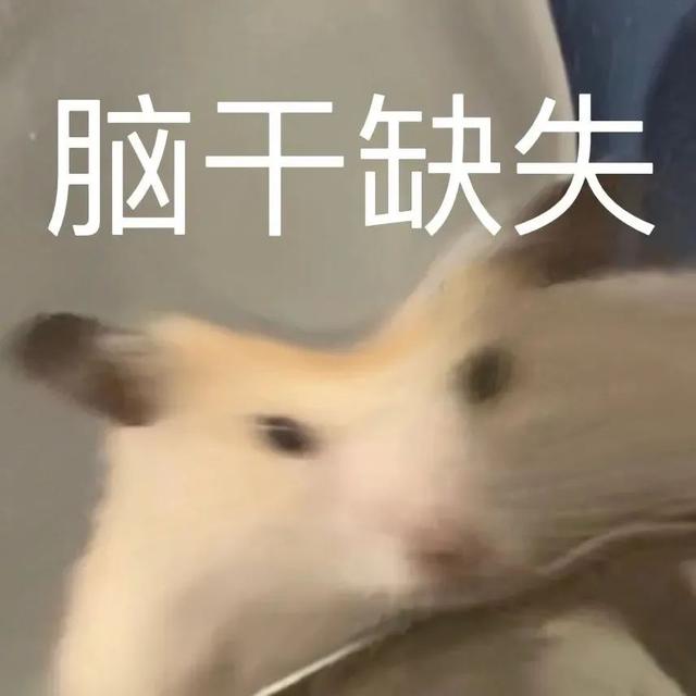 小仓鼠动态迷你表情包，变形脸仓鼠可爱老鼠