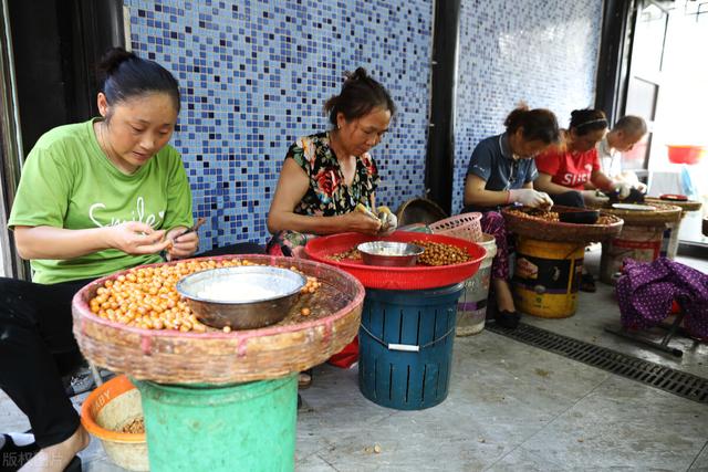 鸡头米怎么烧最有营养，北方人难得尝鲜的时令美食