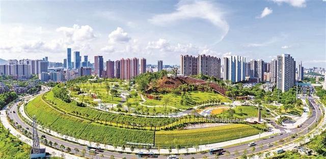 民治街道和社区划分一览表，龙华区民治街道