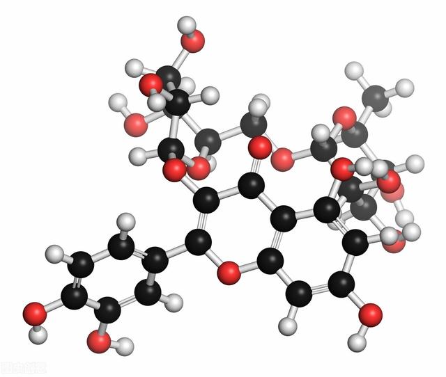 鹌鹑是保护动物吗，芦丁鸡算保护动物