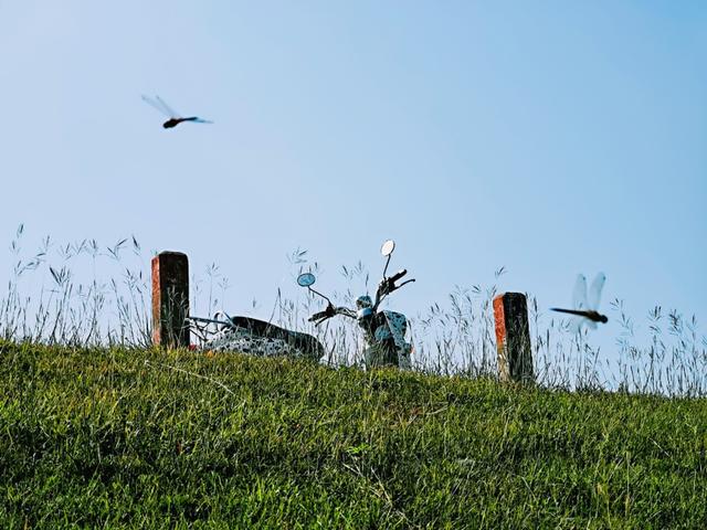 北海涠洲岛一日游最佳路线，北海涠洲岛5日游攻略