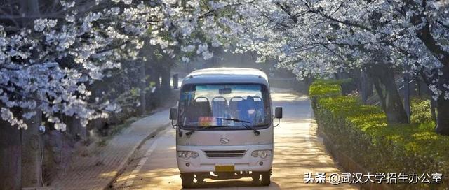 武大历史最好的校长，陈毅评价“一代完人”