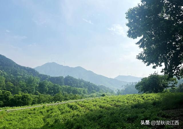 江西的山有哪些，江西的几座名山（庐山有“匡庐奇秀甲天下”之美誉）