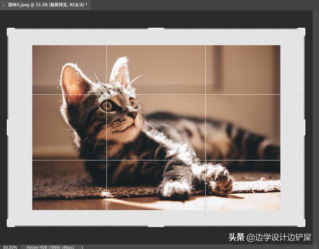 裁剪工具有哪些，什么视频剪辑软件可以裁剪画面