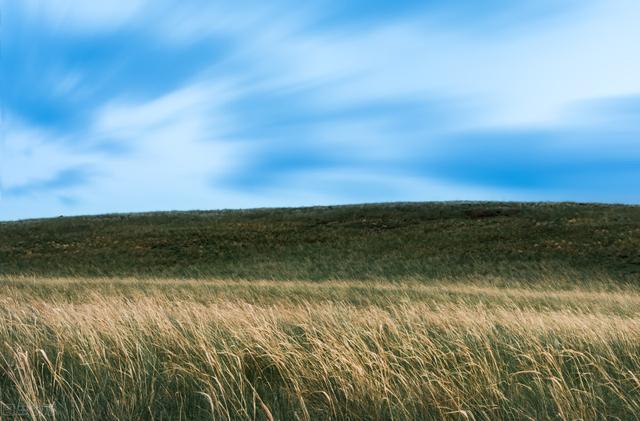 沙漠绿化知识，沙漠绿化种草比种树省水又固沙