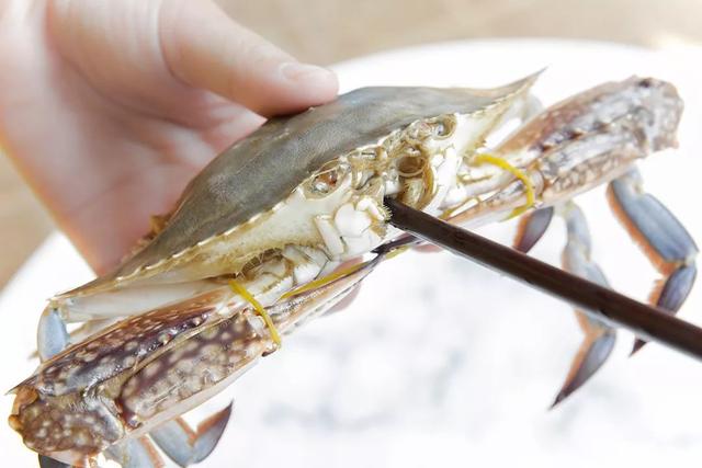 梭子蟹什么季节吃好吃，整个秋天的“鲜”全在这