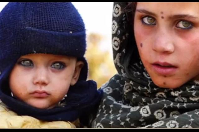 世界上最美的五种眼睛，中国人常见几种眼型