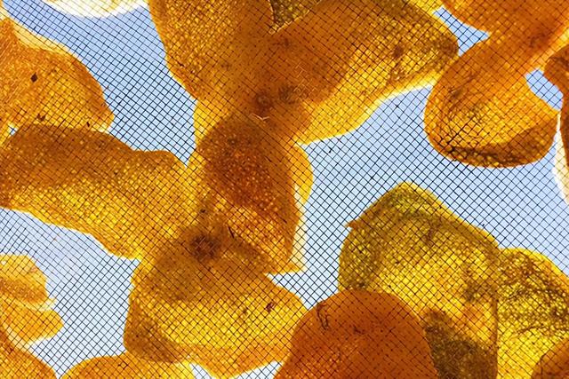 最便宜的新会陈皮多少钱一斤，新会陈皮价格揭秘