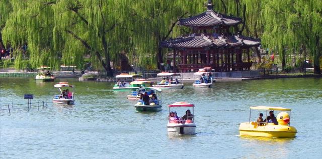 若待上林花似锦，唐诗经典关于春天（春风花草香，“国潮”增芬芳）