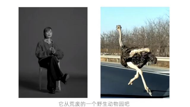 李宇春为什么坐轮椅受伤，38岁李宇春身患重病