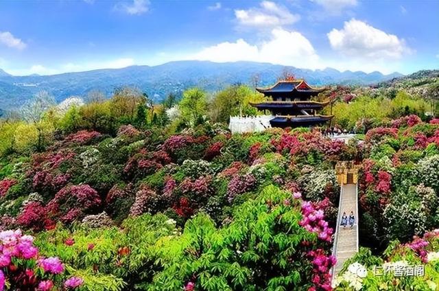 安顺旅游景点推荐，安顺（看了贵州安顺这10个地方）