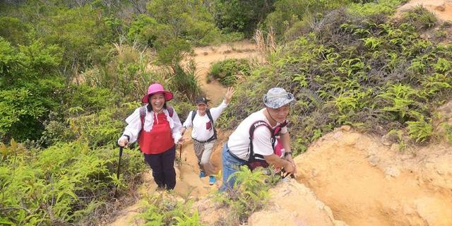 关于深圳梧桐山简介，深圳之巅——梧桐山