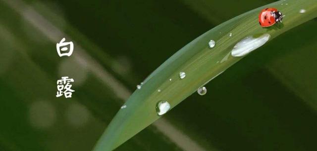 二十四节气各个节气的英文，这份来自官方的翻译