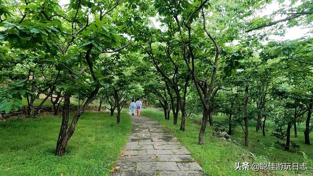 北京徒步登山怀柔麟龙山，平安山徒步一日游