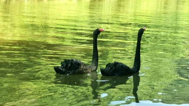 重庆万州第一大瀑布，婚外感情中男人追女人是一种什么样的心态